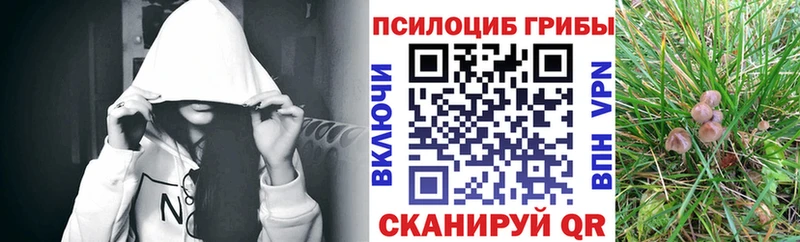 Галлюциногенные грибы GOLDEN TEACHER  как найти закладки  Ладушкин 